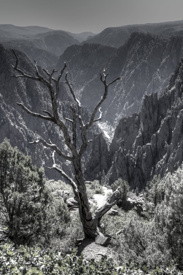Black Canyon, CO
