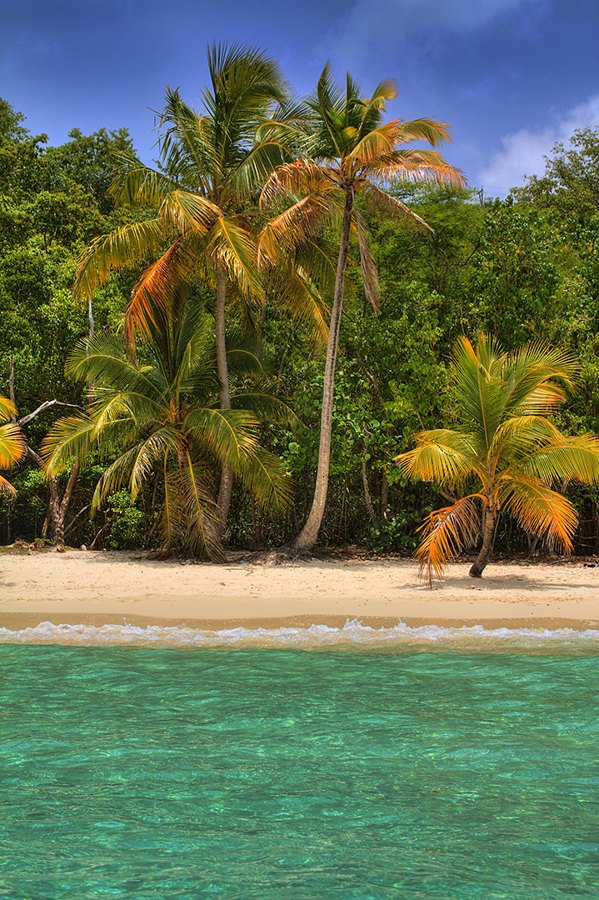 From a Dinghy, St John USVI