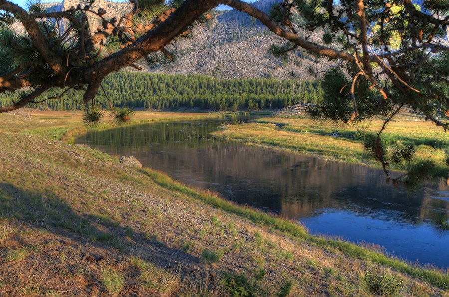 Gibbon River, Yellowstone