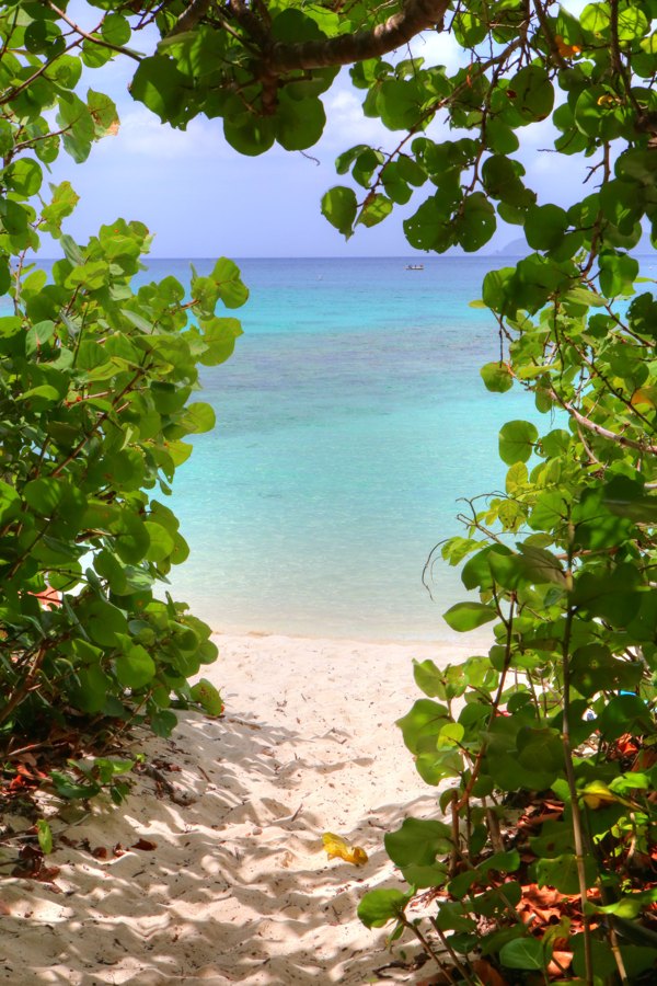 Hawksnest Bay Entry, St John USVI