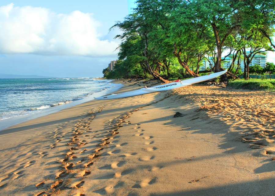 Westin Beach, Maui, HI